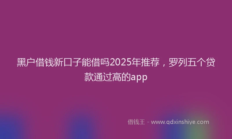 黑户借钱新口子能借吗2025年推荐，罗列五个贷款通过高的app