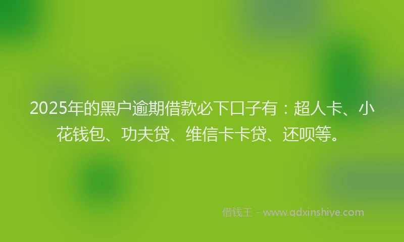 2025年的黑户逾期借款必下口子有：超人卡、小花钱包、功夫贷、维信卡卡贷、还呗等。