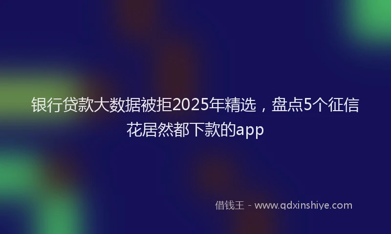 银行贷款大数据被拒2025年精选，盘点5个征信花居然都下款的app