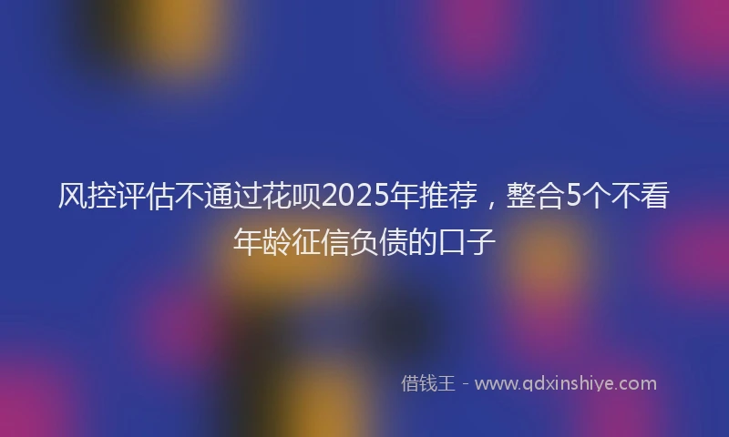 风控评估不通过花呗2025年推荐，整合5个不看年龄征信负债的口子