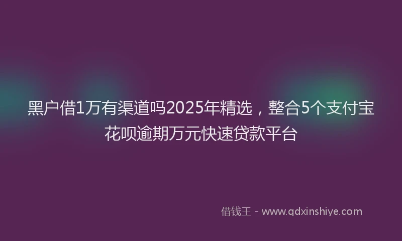 黑户借1万有渠道吗2025年精选，整合5个支付宝花呗逾期万元快速贷款平台
