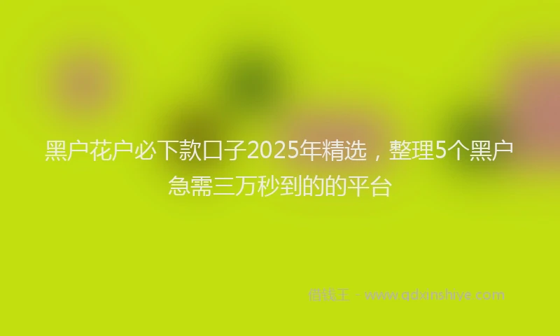 黑户花户必下款口子2025年精选，整理5个黑户急需三万秒到的的平台