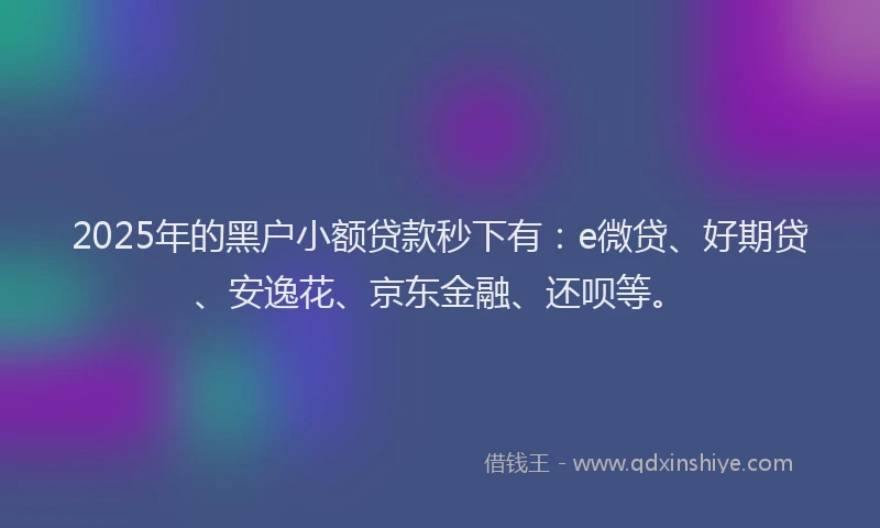 2025年的黑户小额贷款秒下有：e微贷、好期贷、安逸花、京东金融、还呗等。