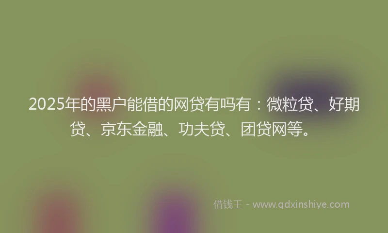 2025年的黑户能借的网贷有吗有：微粒贷、好期贷、京东金融、功夫贷、团贷网等。
