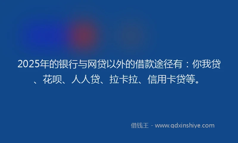 2025年的银行与网贷以外的借款途径有：你我贷、花呗、人人贷、拉卡拉、信用卡贷等。