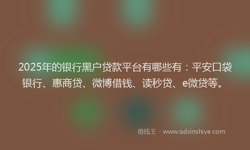 2025年的银行黑户贷款平台有哪些有：平安口袋银行、惠商贷、微博借钱、读秒贷、e微贷等。