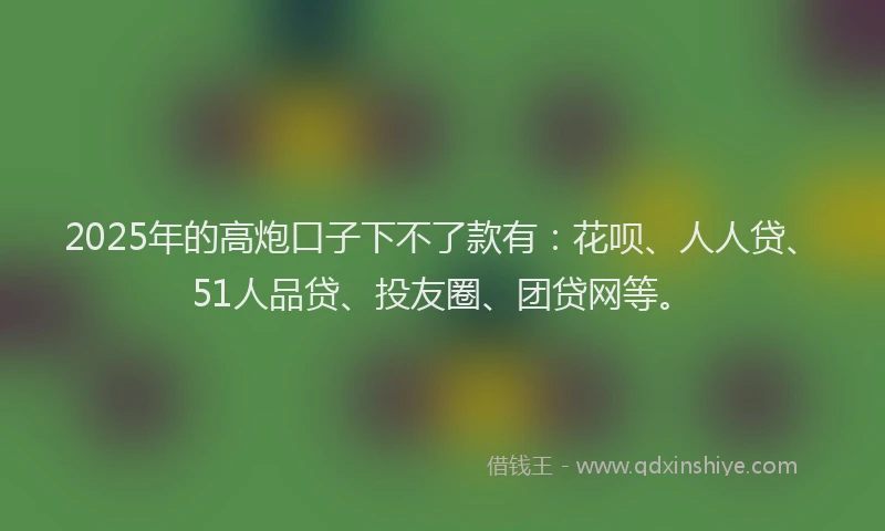 2025年的高炮口子下不了款有：花呗、人人贷、51人品贷、投友圈、团贷网等。
