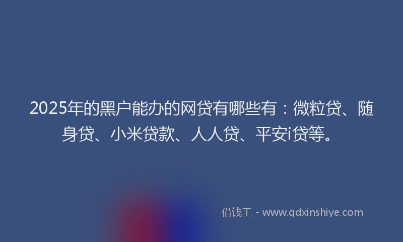 2025年的黑户能办的网贷有哪些有：微粒贷、随身贷、小米贷款、人人贷、平安i贷等。
