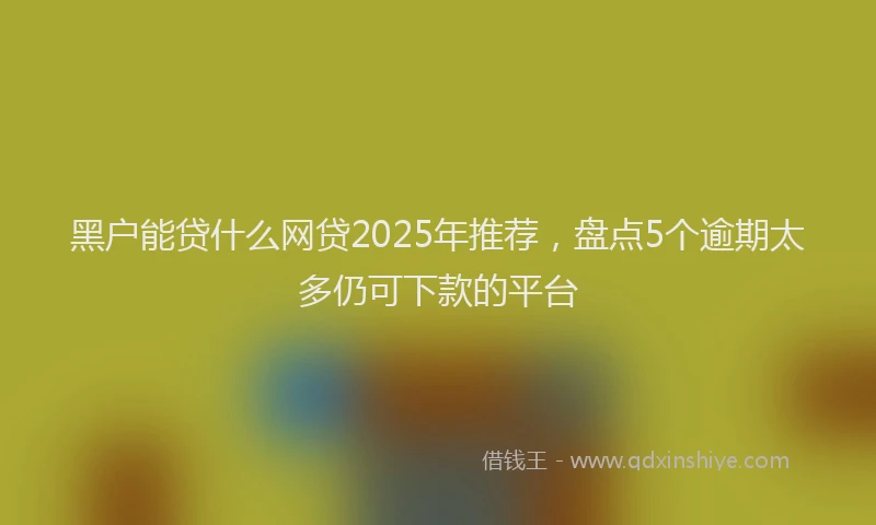 黑户能贷什么网贷2025年推荐，盘点5个逾期太多仍可下款的平台