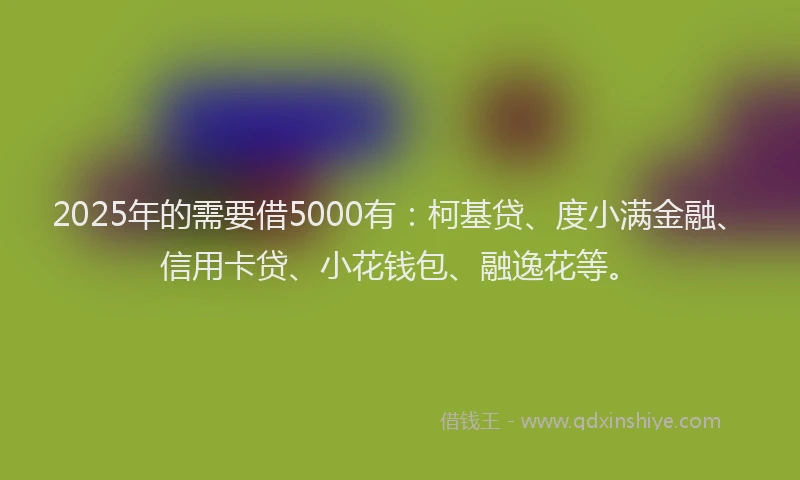 2025年的需要借5000有：柯基贷、度小满金融、信用卡贷、小花钱包、融逸花等。