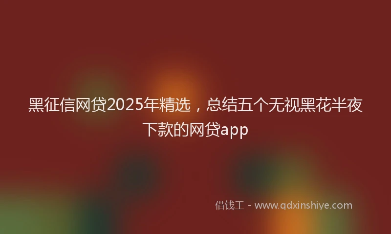 黑征信网贷2025年精选，总结五个无视黑花半夜下款的网贷app