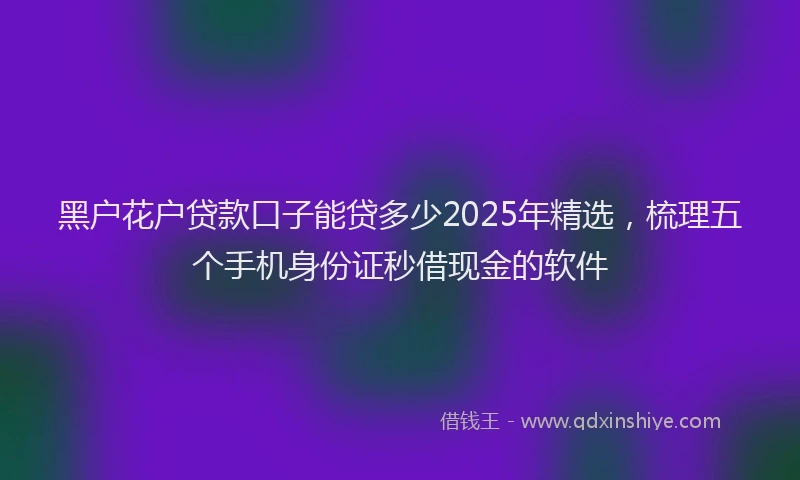 黑户花户贷款口子能贷多少2025年精选，梳理五个手机身份证秒借现金的软件