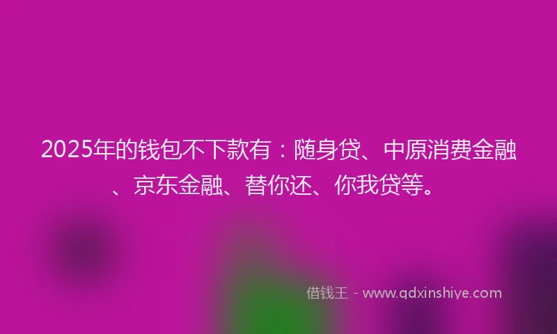 2025年的钱包不下款有：随身贷、中原消费金融、京东金融、替你还、你我贷等。