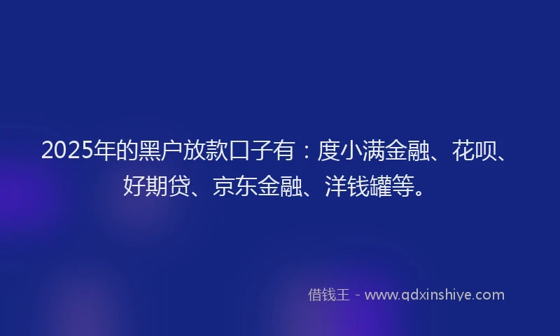 2025年的黑户放款口子有：度小满金融、花呗、好期贷、京东金融、洋钱罐等。