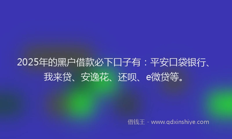2025年的黑户借款必下口子有：平安口袋银行、我来贷、安逸花、还呗、e微贷等。
