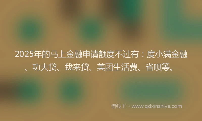 2025年的马上金融申请额度不过有：度小满金融、功夫贷、我来贷、美团生活费、省呗等。