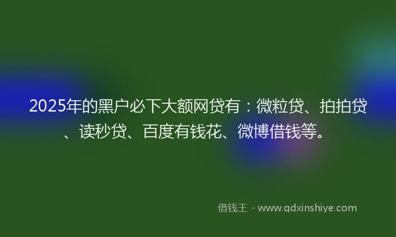 2025年的黑户必下大额网贷有：微粒贷、拍拍贷、读秒贷、百度有钱花、微博借钱等。