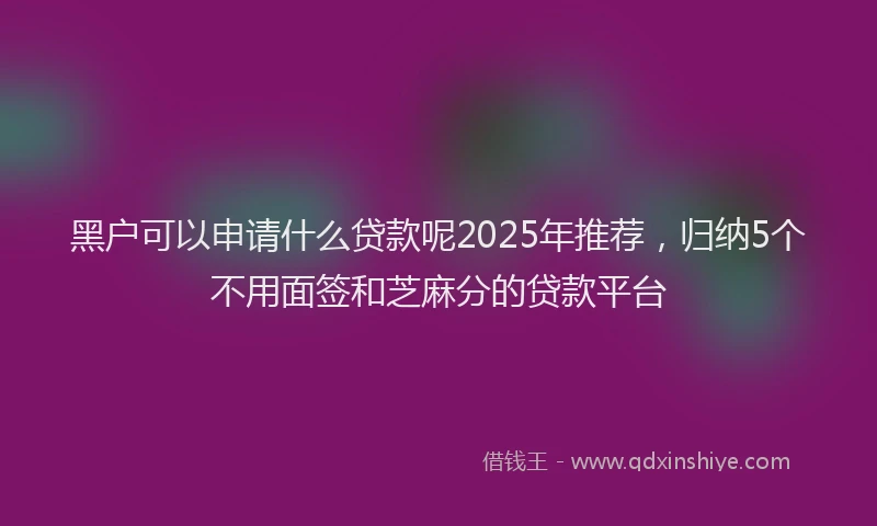 黑户可以申请什么贷款呢2025年推荐，归纳5个不用面签和芝麻分的贷款平台