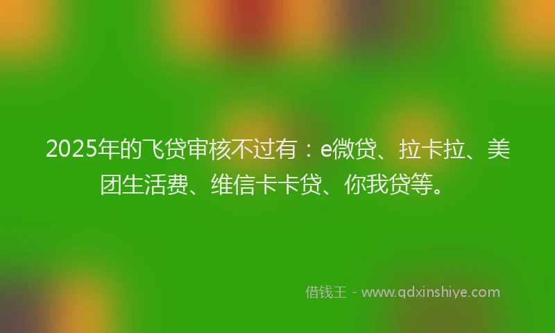2025年的飞贷审核不过有：e微贷、拉卡拉、美团生活费、维信卡卡贷、你我贷等。
