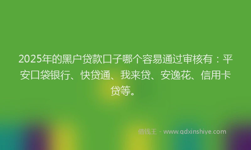 2025年的黑户贷款口子哪个容易通过审核有：平安口袋银行、快贷通、我来贷、安逸花、信用卡贷等。