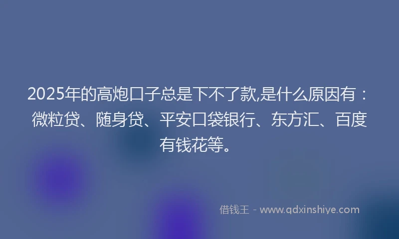 2025年的高炮口子总是下不了款,是什么原因有：微粒贷、随身贷、平安口袋银行、东方汇、百度有钱花等。