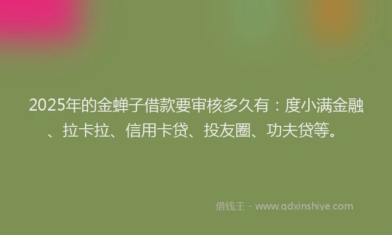 2025年的金蝉子借款要审核多久有：度小满金融、拉卡拉、信用卡贷、投友圈、功夫贷等。