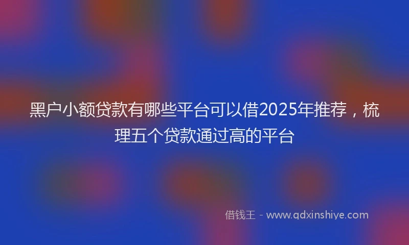 黑户小额贷款有哪些平台可以借2025年推荐，梳理五个贷款通过高的平台