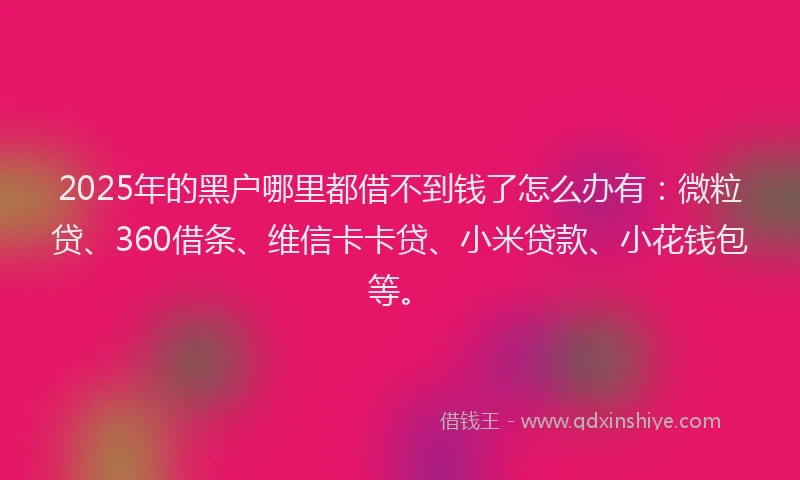 2025年的黑户哪里都借不到钱了怎么办有：微粒贷、360借条、维信卡卡贷、小米贷款、小花钱包等。
