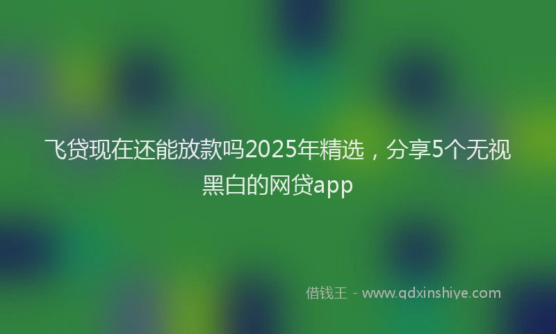 飞贷现在还能放款吗2025年精选，分享5个无视黑白的网贷app