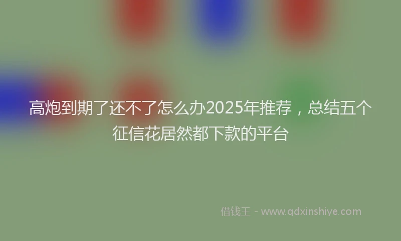 高炮到期了还不了怎么办2025年推荐，总结五个征信花居然都下款的平台