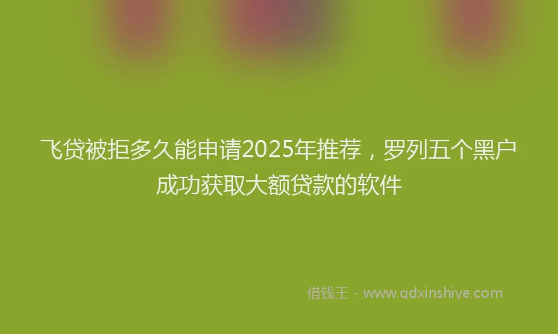 飞贷被拒多久能申请2025年推荐，罗列五个黑户成功获取大额贷款的软件