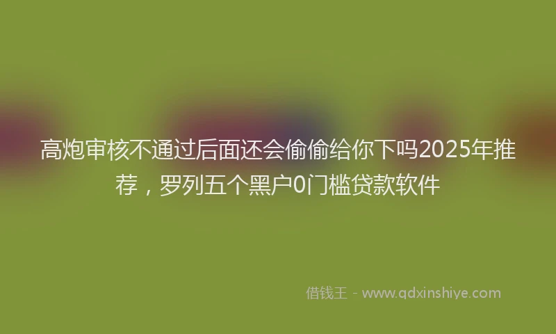 高炮审核不通过后面还会偷偷给你下吗2025年推荐，罗列五个黑户0门槛贷款软件