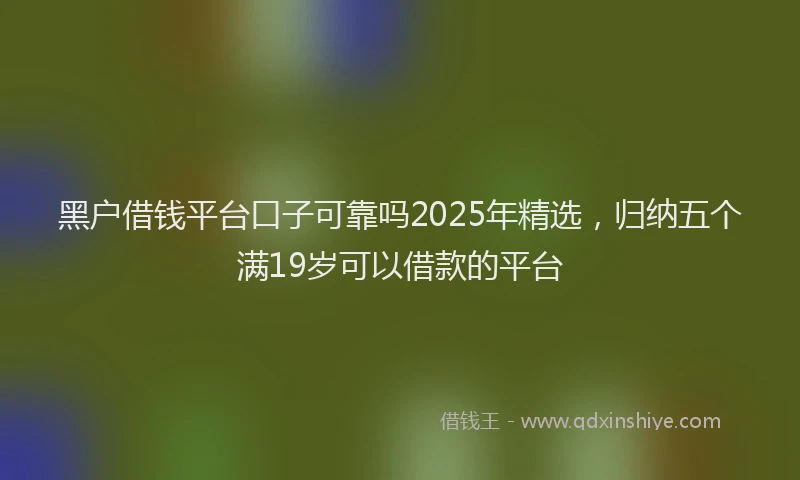 黑户借钱平台口子可靠吗2025年精选，归纳五个满19岁可以借款的平台