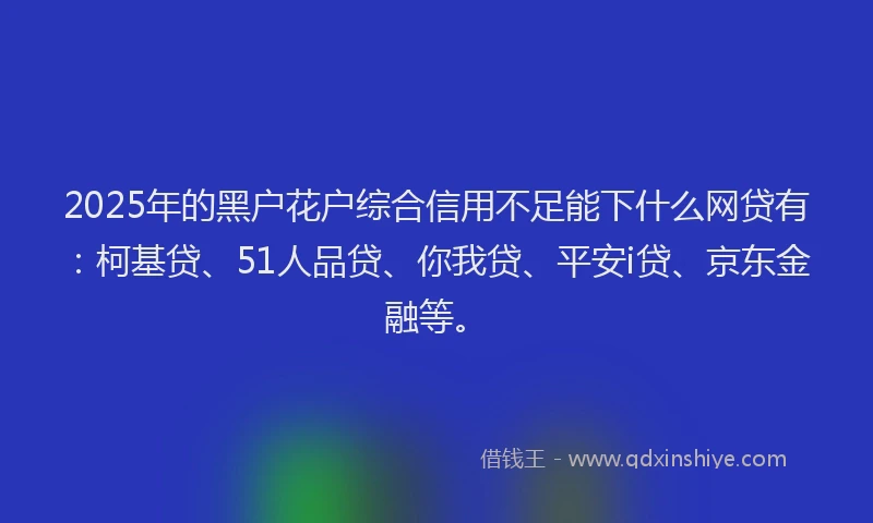 2025年的黑户花户综合信用不足能下什么网贷有：柯基贷、51人品贷、你我贷、平安i贷、京东金融等。