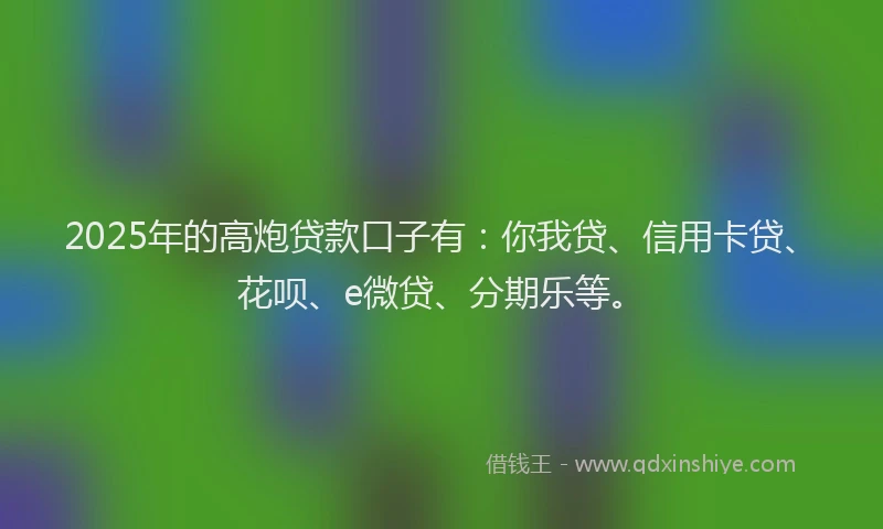 2025年的高炮贷款口子有：你我贷、信用卡贷、花呗、e微贷、分期乐等。