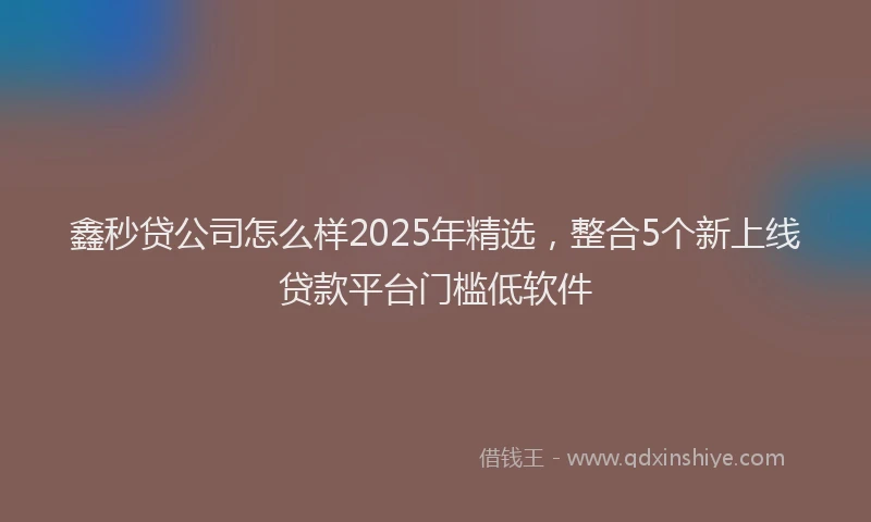 鑫秒贷公司怎么样2025年精选，整合5个新上线贷款平台门槛低软件