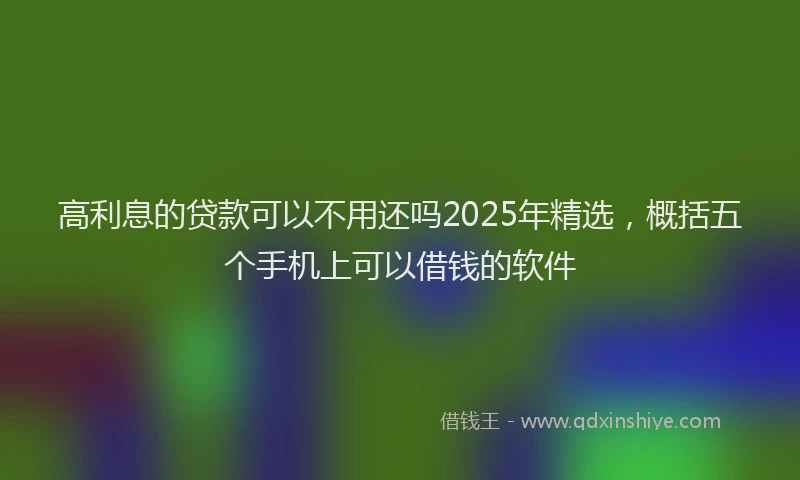 高利息的贷款可以不用还吗2025年精选，概括五个手机上可以借钱的软件