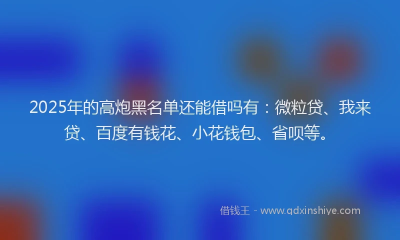 2025年的高炮黑名单还能借吗有：微粒贷、我来贷、百度有钱花、小花钱包、省呗等。