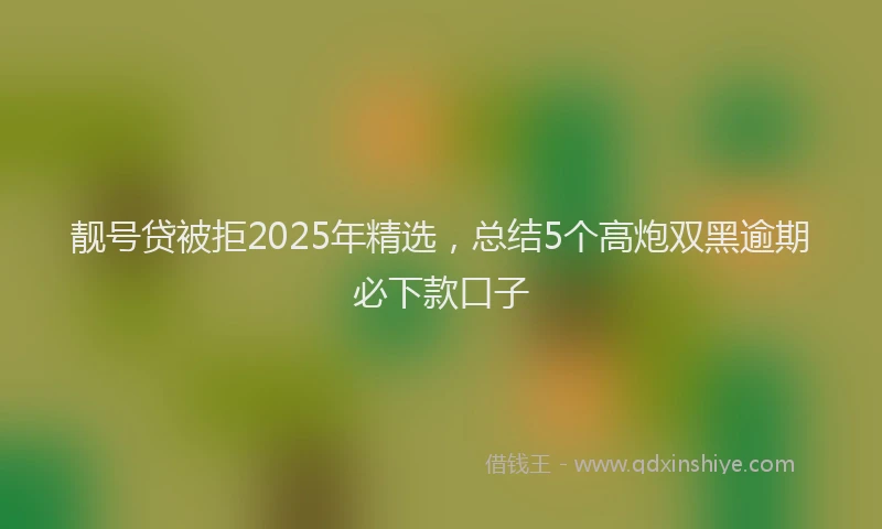 靓号贷被拒2025年精选，总结5个高炮双黑逾期必下款口子