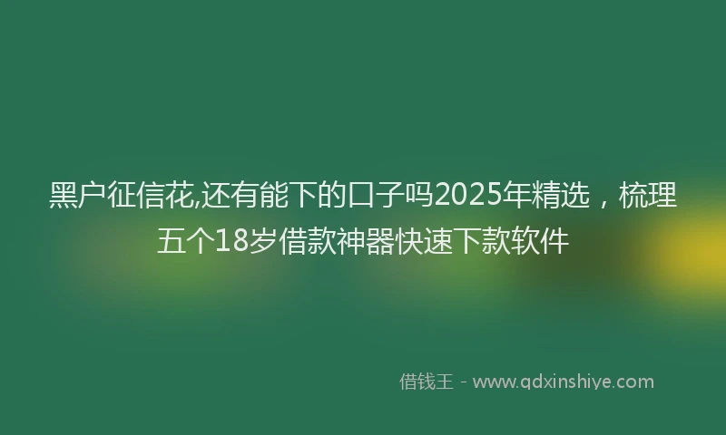 黑户征信花,还有能下的口子吗2025年精选，梳理五个18岁借款神器快速下款软件