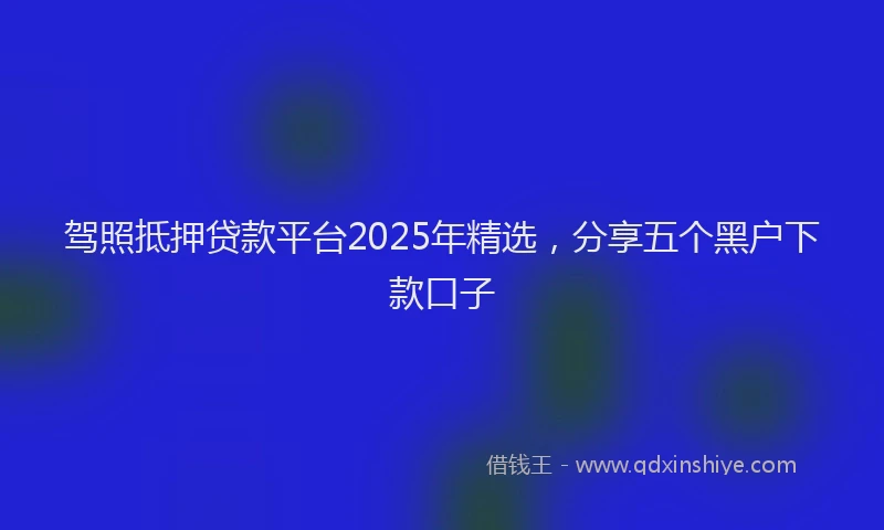 驾照抵押贷款平台2025年精选，分享五个黑户下款口子