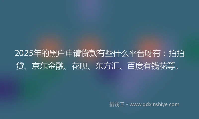 2025年的黑户申请贷款有些什么平台呀有：拍拍贷、京东金融、花呗、东方汇、百度有钱花等。
