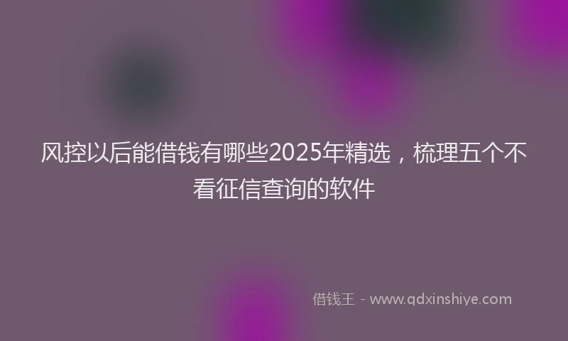 风控以后能借钱有哪些2025年精选，梳理五个不看征信查询的软件