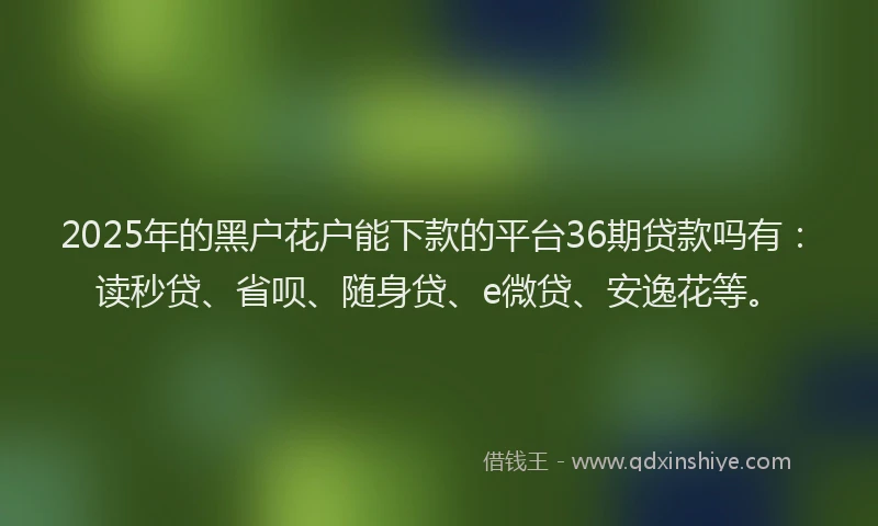 2025年的黑户花户能下款的平台36期贷款吗有：读秒贷、省呗、随身贷、e微贷、安逸花等。