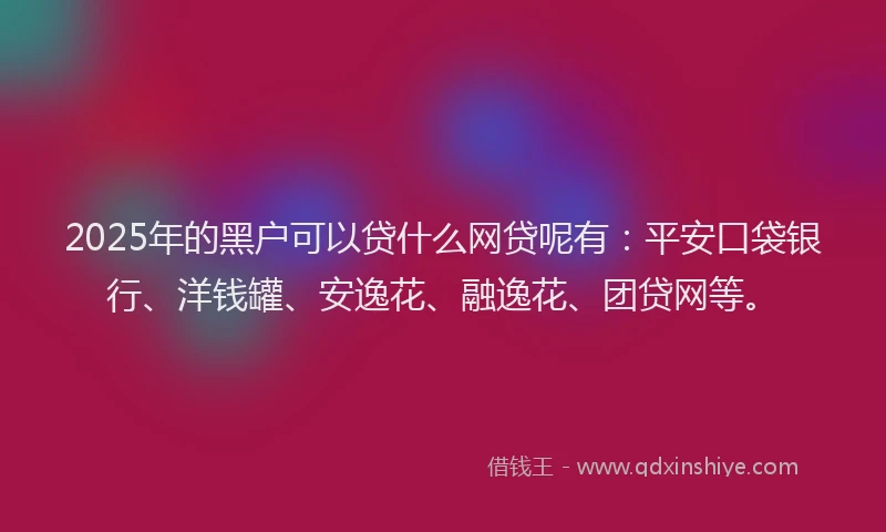 2025年的黑户可以贷什么网贷呢有：平安口袋银行、洋钱罐、安逸花、融逸花、团贷网等。