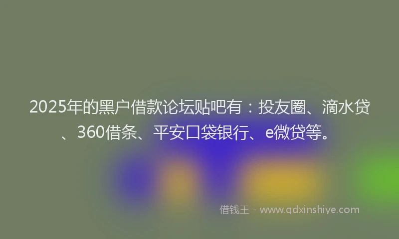 2025年的黑户借款论坛贴吧有：投友圈、滴水贷、360借条、平安口袋银行、e微贷等。