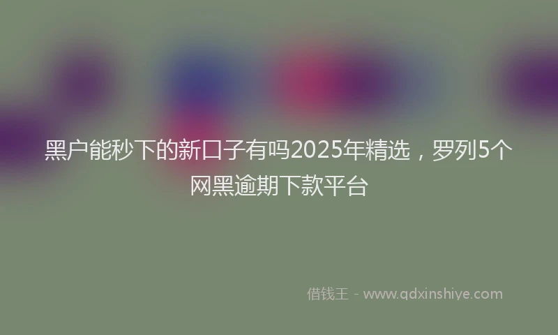 黑户能秒下的新口子有吗2025年精选，罗列5个网黑逾期下款平台