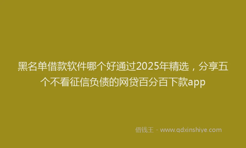 黑名单借款软件哪个好通过2025年精选，分享五个不看征信负债的网贷百分百下款app
