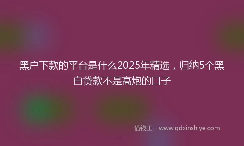 黑户下款的平台是什么2025年精选，归纳5个黑白贷款不是高炮的口子
