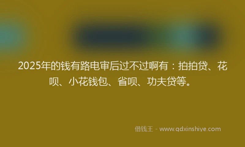 2025年的钱有路电审后过不过啊有：拍拍贷、花呗、小花钱包、省呗、功夫贷等。